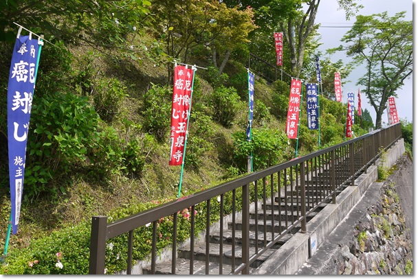 玉泉寺・オオヤマレンゲなど_c0037204_2318549.jpg