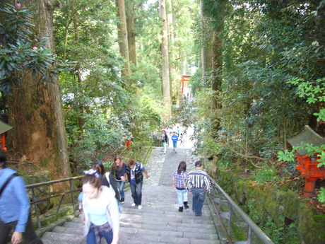 \"箱根神社\"_a0071805_17504719.jpg