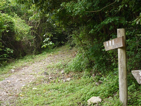 自主練しました☆カメラとあわや遭難・・・山登り　_b0205305_1924625.jpg