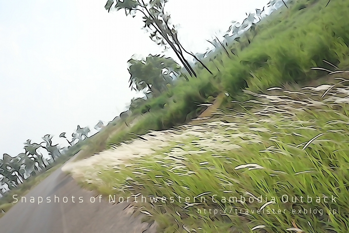 爽やかすぎるカンボジアの田舎道を行く_b0108109_2254388.jpg