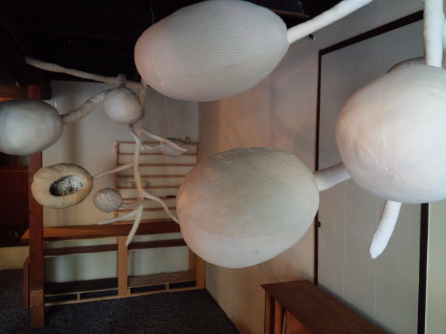 アリの巣_f0226713_21561787.jpg