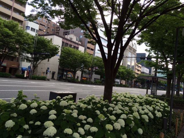 e0128024_559961.jpg
