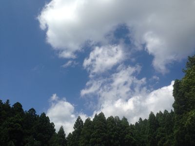 今日やります、ほたるを観る会!_e0061225_149683.jpg