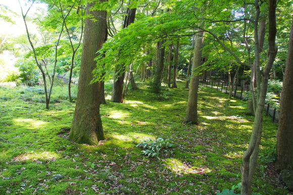 c0042929_17105640.jpg
