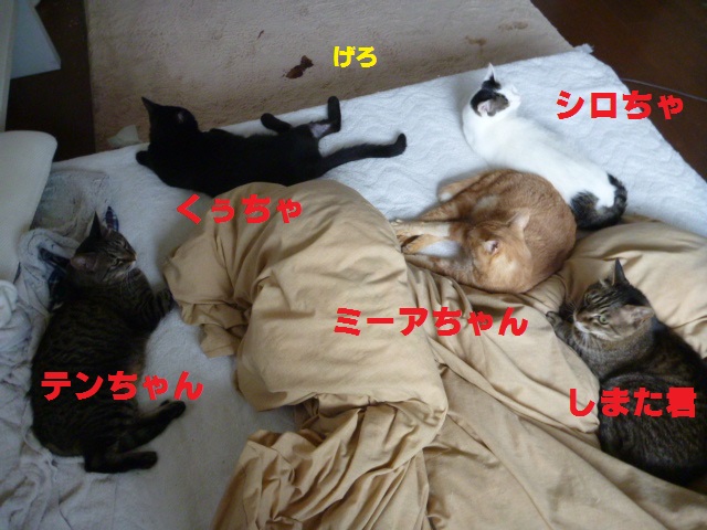 e0142430_171472.jpg