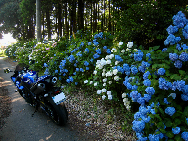 2回目のタイヤ交換　（YZF-R1）_f0126932_23212990.jpg