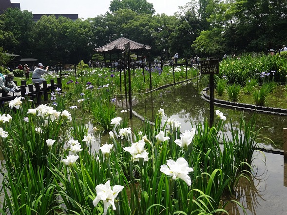 b0299042_22433658.jpg