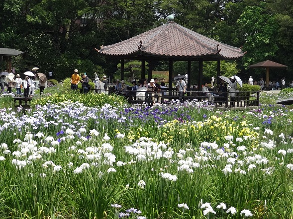 b0299042_22443367.jpg