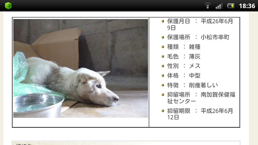 南加賀保健福祉センターの収容犬_e0291042_8333529.png