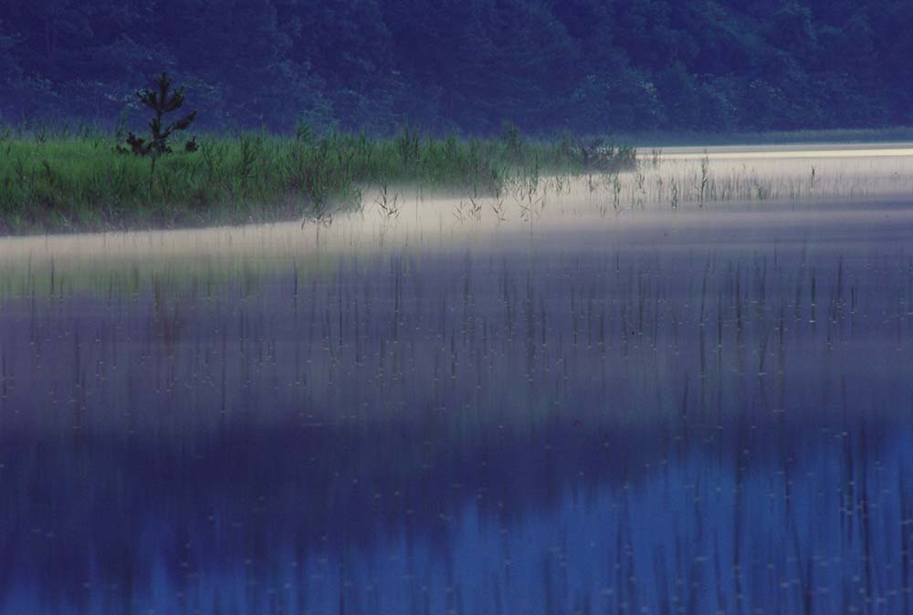 静寂の湖面_f0207844_1910737.jpg