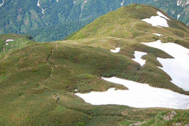 残雪とお花の山_b0189948_22265985.jpg