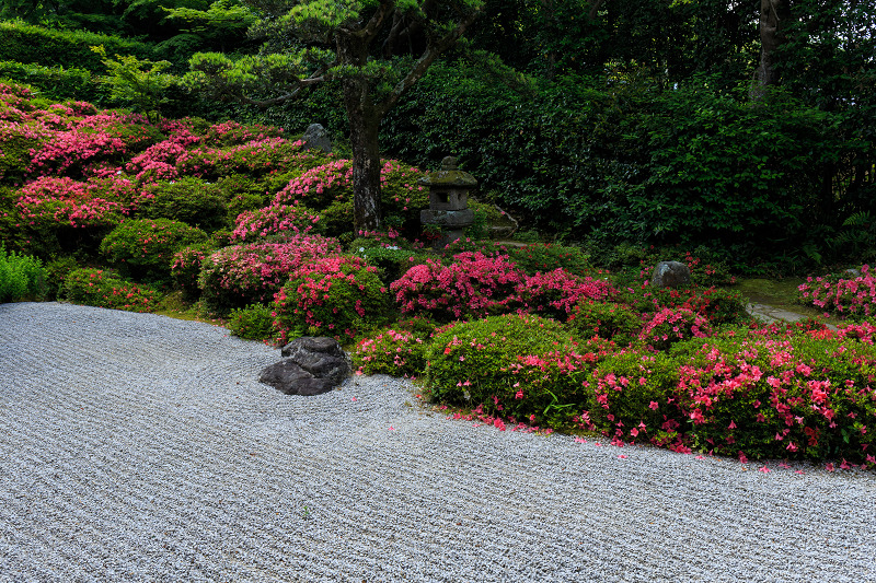 サツキの庭（金福寺）_f0155048_22423272.jpg