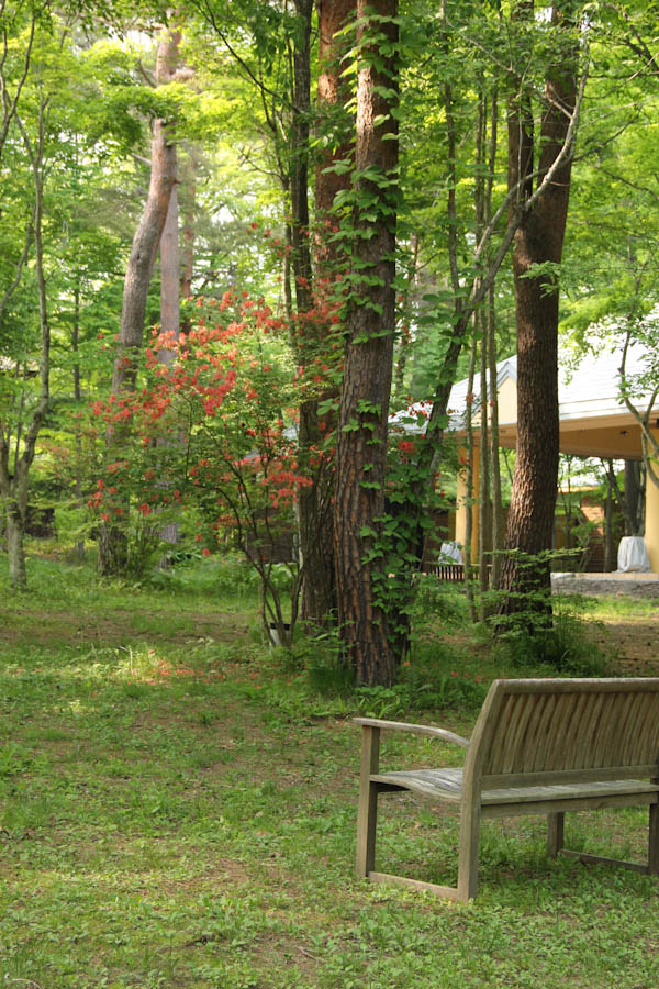 b0138661_9393685.jpg