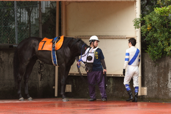 2014年4月28日（月） 高知競馬 4R 3歳-2_a0077663_7541397.jpg