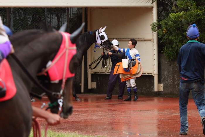 2014年4月28日（月） 高知競馬 4R 3歳-2_a0077663_7541554.jpg
