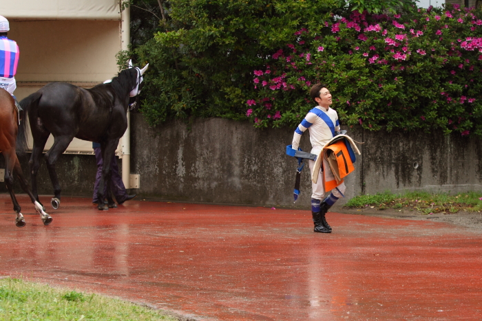 2014年4月28日（月） 高知競馬 4R 3歳-2_a0077663_7541837.jpg