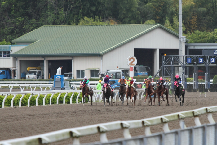 オーストラリアの賀谷祥平騎手、日本初勝利！！_a0077663_8131062.jpg