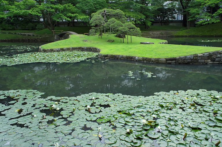 文京　小石川後楽園（6月10日）_c0057265_2584498.jpg