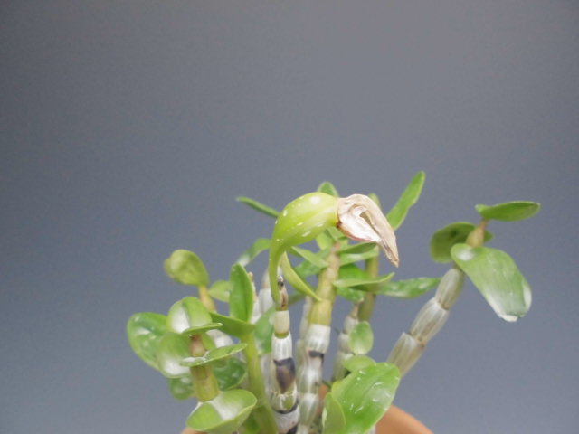 f0318967_21022556.jpg