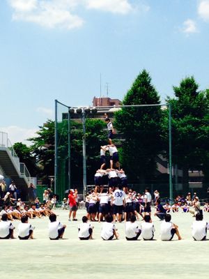 *日々徒然…ルバーブのジャム*_e0326573_1362351.jpg