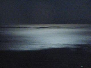 2014年6月14日 田園の快楽_b0098584_15534441.jpg