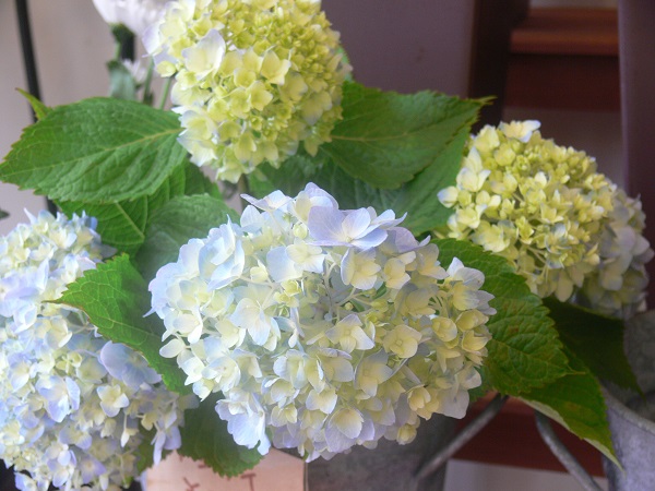 e0140986_1332012.jpg
