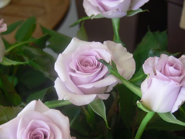 e0140986_1393629.jpg