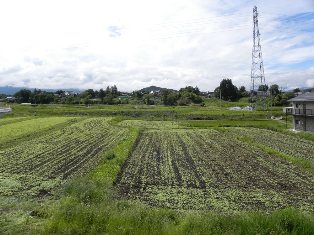 梅雨の合間・・・_b0329588_14571492.jpg