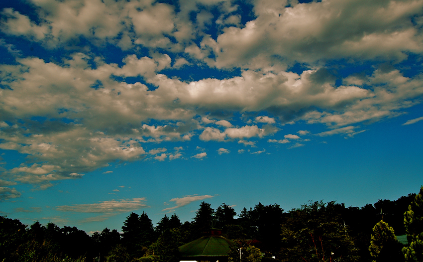 c0026089_14172382.jpg