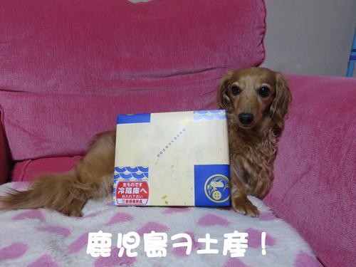 四段ブーム全開で伸ばした結果・・・_b0200291_23151463.jpg