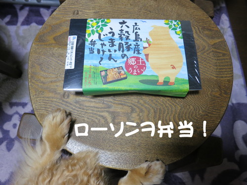 四段ブーム全開で伸ばした結果・・・_b0200291_2327592.jpg