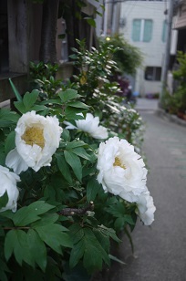 f0226293_7491879.jpg