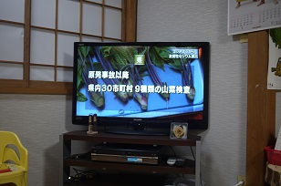 f0226293_7545166.jpg