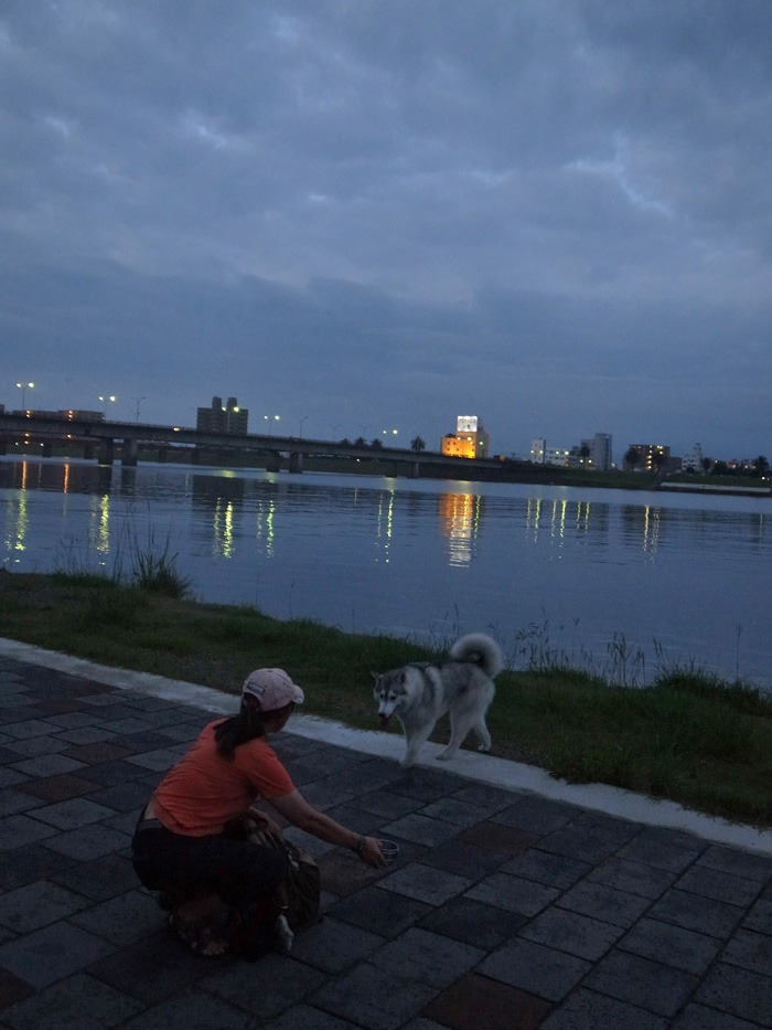朝は涼しく 夕暮れどきは気持ちよく (^_-)_c0049299_22462953.jpg