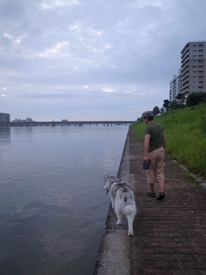 朝は涼しく 夕暮れどきは気持ちよく (^_-)_c0049299_22474349.jpg