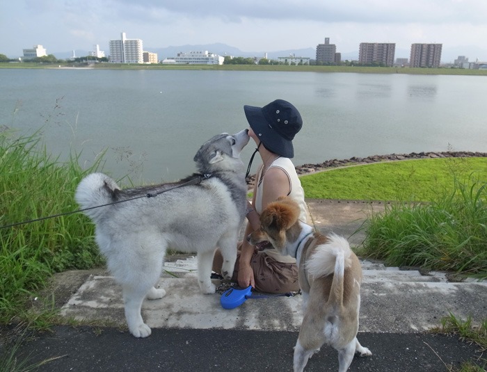 朝は涼しく 夕暮れどきは気持ちよく (^_-)_c0049299_22543245.jpg