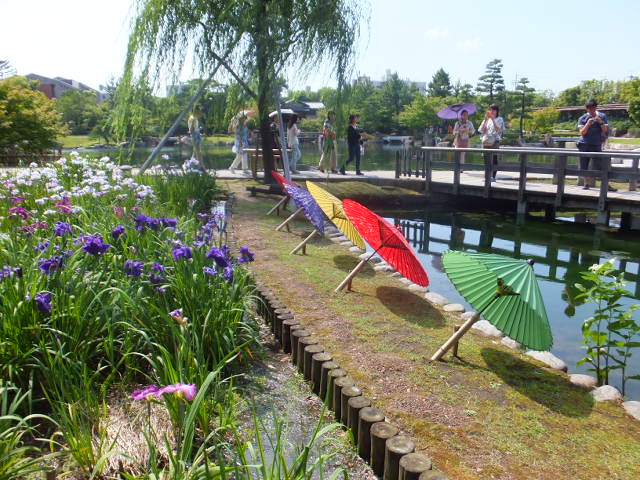a0271502_15314921.jpg