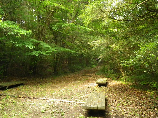f0187402_9242146.jpg