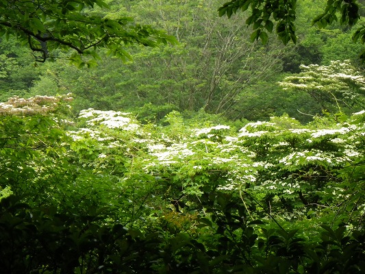 f0187402_925186.jpg