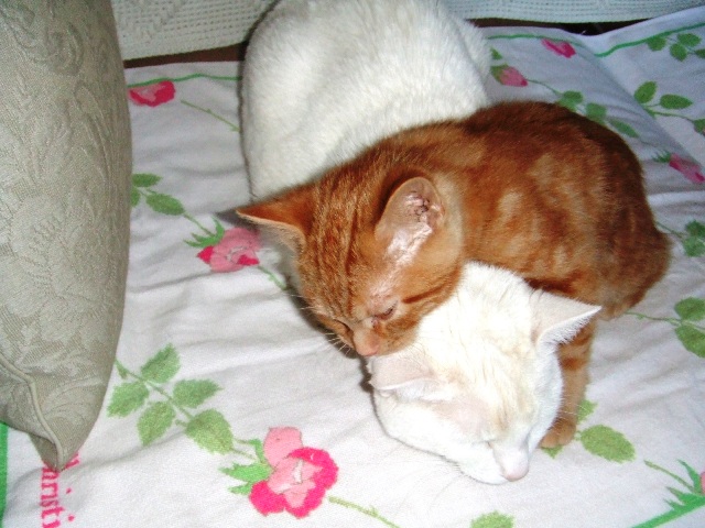 c0062603_10161721.jpg
