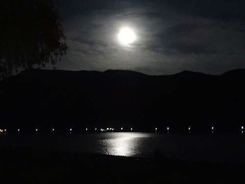 c0137404_2247712.jpg