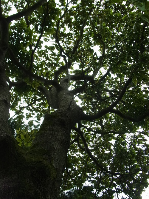 e0243008_15281388.jpg