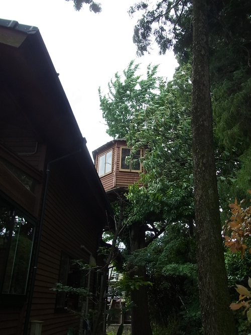 e0243008_15355386.jpg