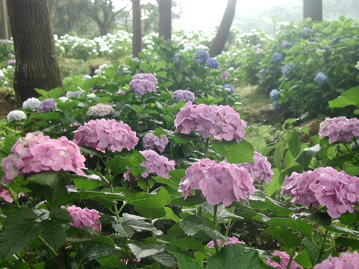 c0284210_1554736.jpg