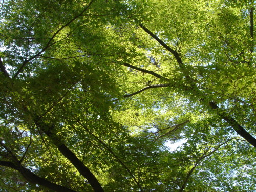 f0276510_22274985.jpg
