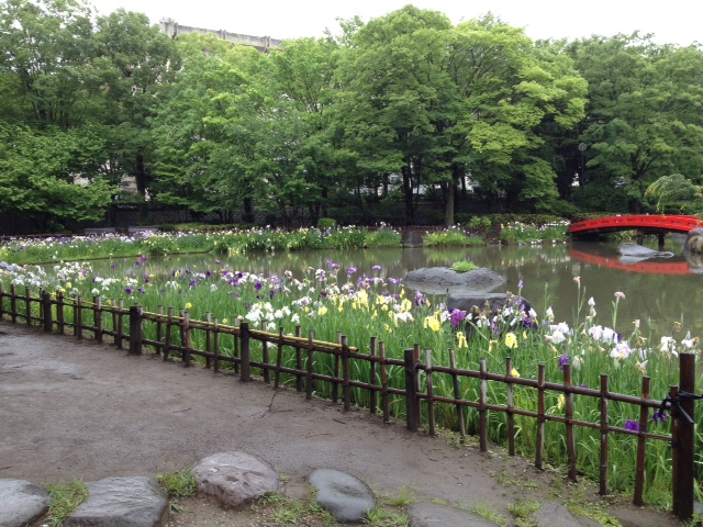 e0205713_21384760.jpg