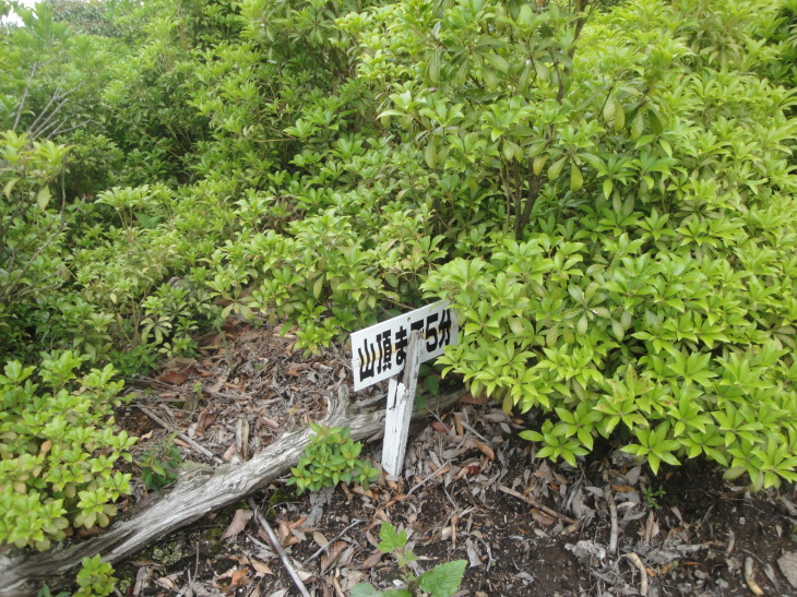 b0291016_14014268.jpg