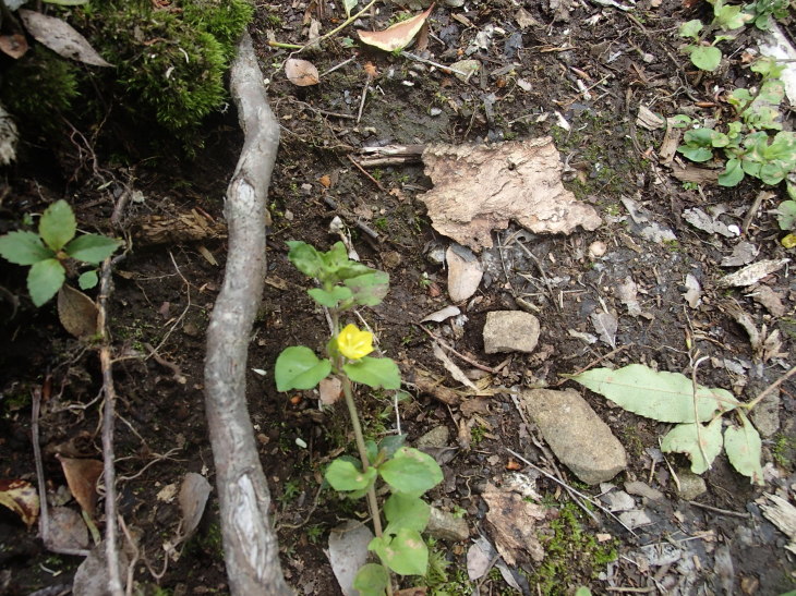 b0291016_20153322.jpg