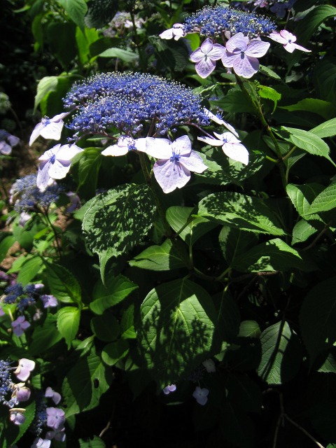 e0117318_1931172.jpg