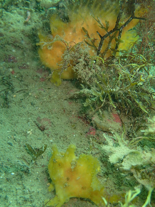 c0115421_21152696.jpg